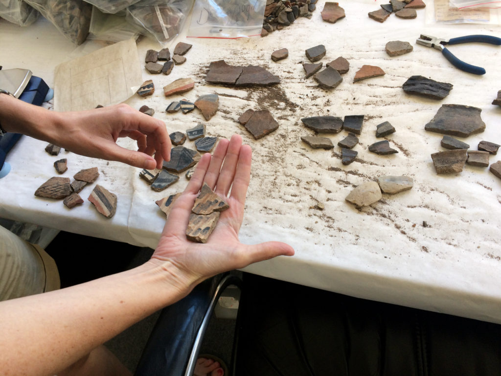 Cliff Valley Sherds