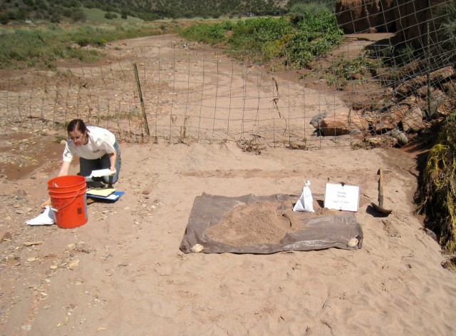 Collecting sand on the southern Colorado Plateau.