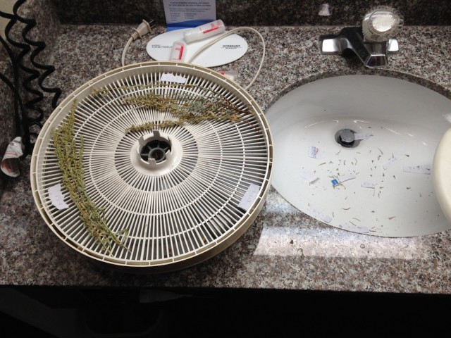 A Plant Dehydrator