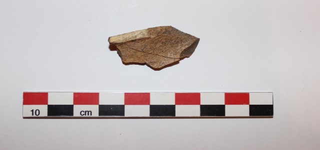 Behold the artiodactyl-sized long bone shaft fragment in all its glory.