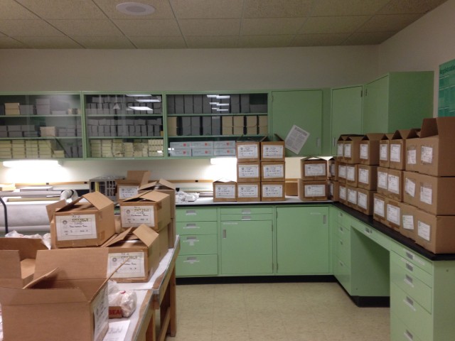 Bone Sample Boxes