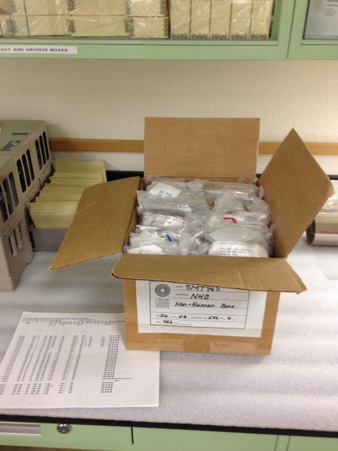 Box of Artifacts