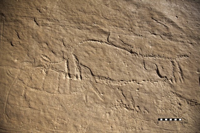 Unenhanced Petroglyph