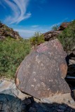 Vandalized Petroglyph Panel