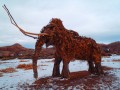Bluff Mammoth of Winter