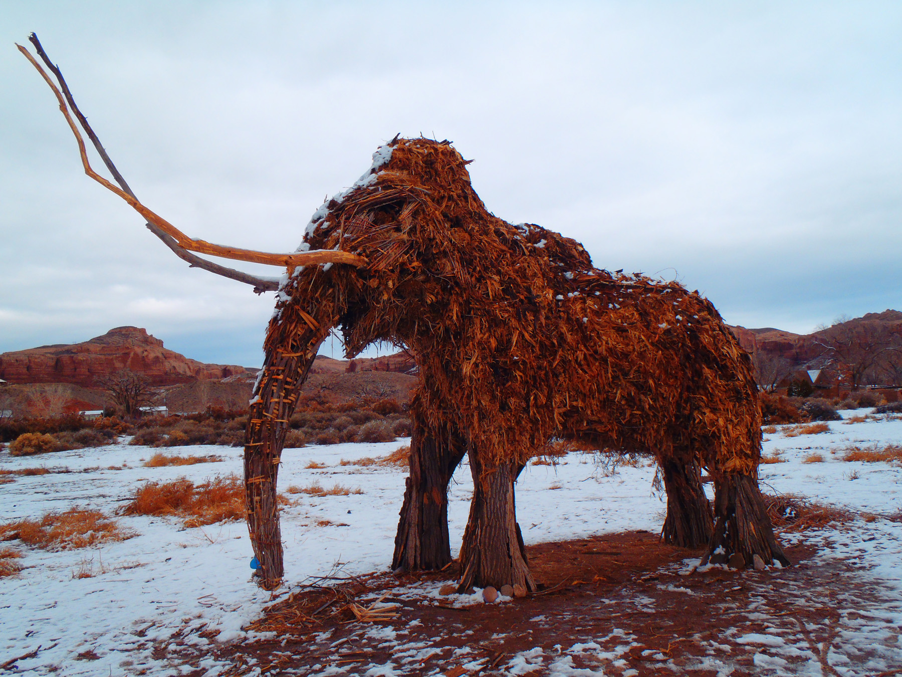 The Bluff Mammoth of Winter 2012–2013. Image: R. E. Burrillo