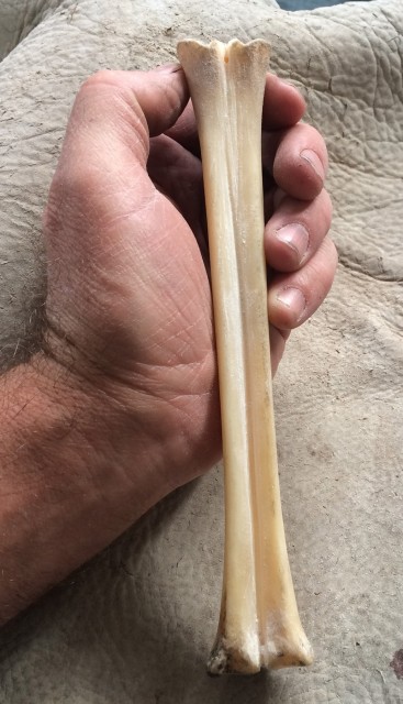 Bone cut started