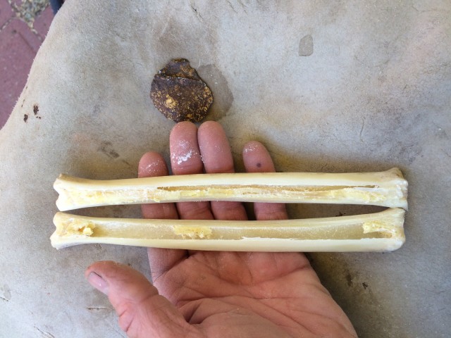 It took about 30 minutes to make cuts deep enough to enable easy splitting of this bone.