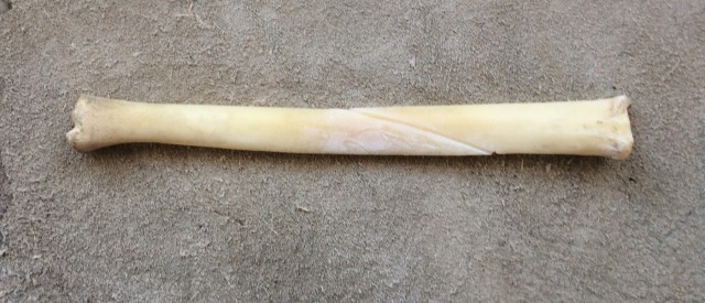 Angled notch across the bone.