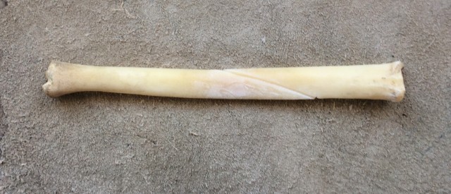 Bone With Notched Angle