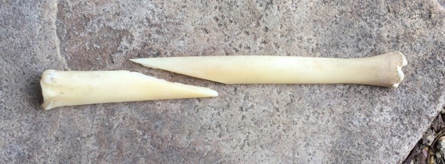 The two halves after all the cutting was done; now time for grinding.