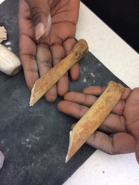 Splitting Bone