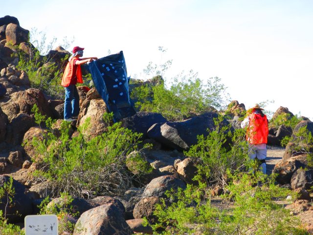 Painted Rocks Survey