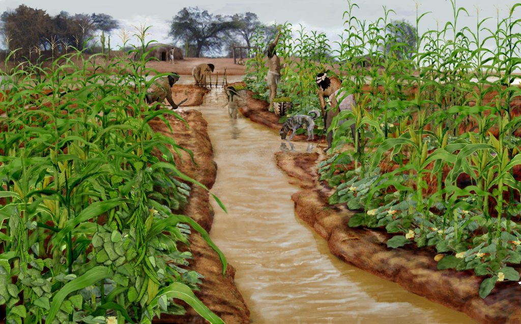 Irrigation Hohokam. Visualisation : Robert B. Ciaccio