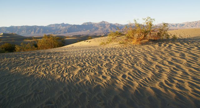 Death Valley Kathleen