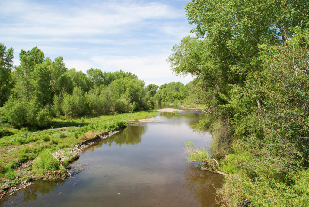A view of the Gila River in the Cliff Valley. In much of the Mogollon area, the Gila still has water in it—the upper reaches are a rare example of an undammed Southwestern river, still experiencing natural flood cycles.