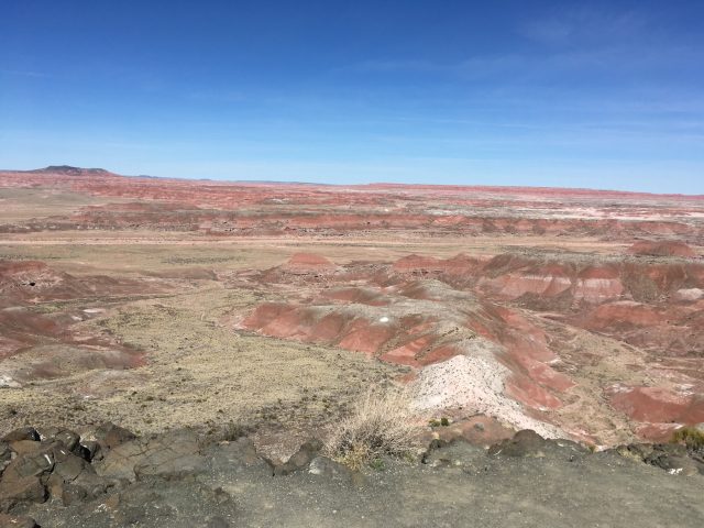 Petrified Forest 