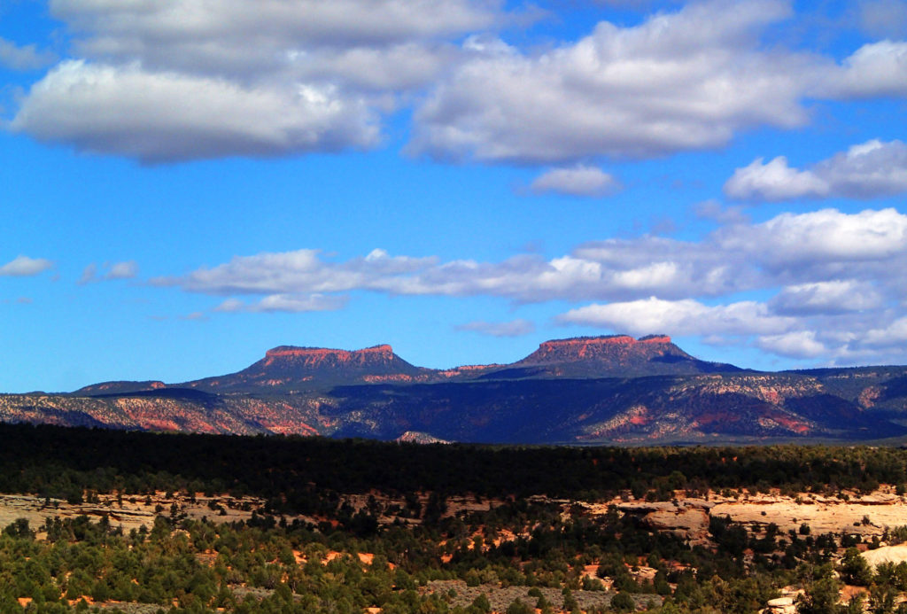 Bears Ears by Ralph Burrillo