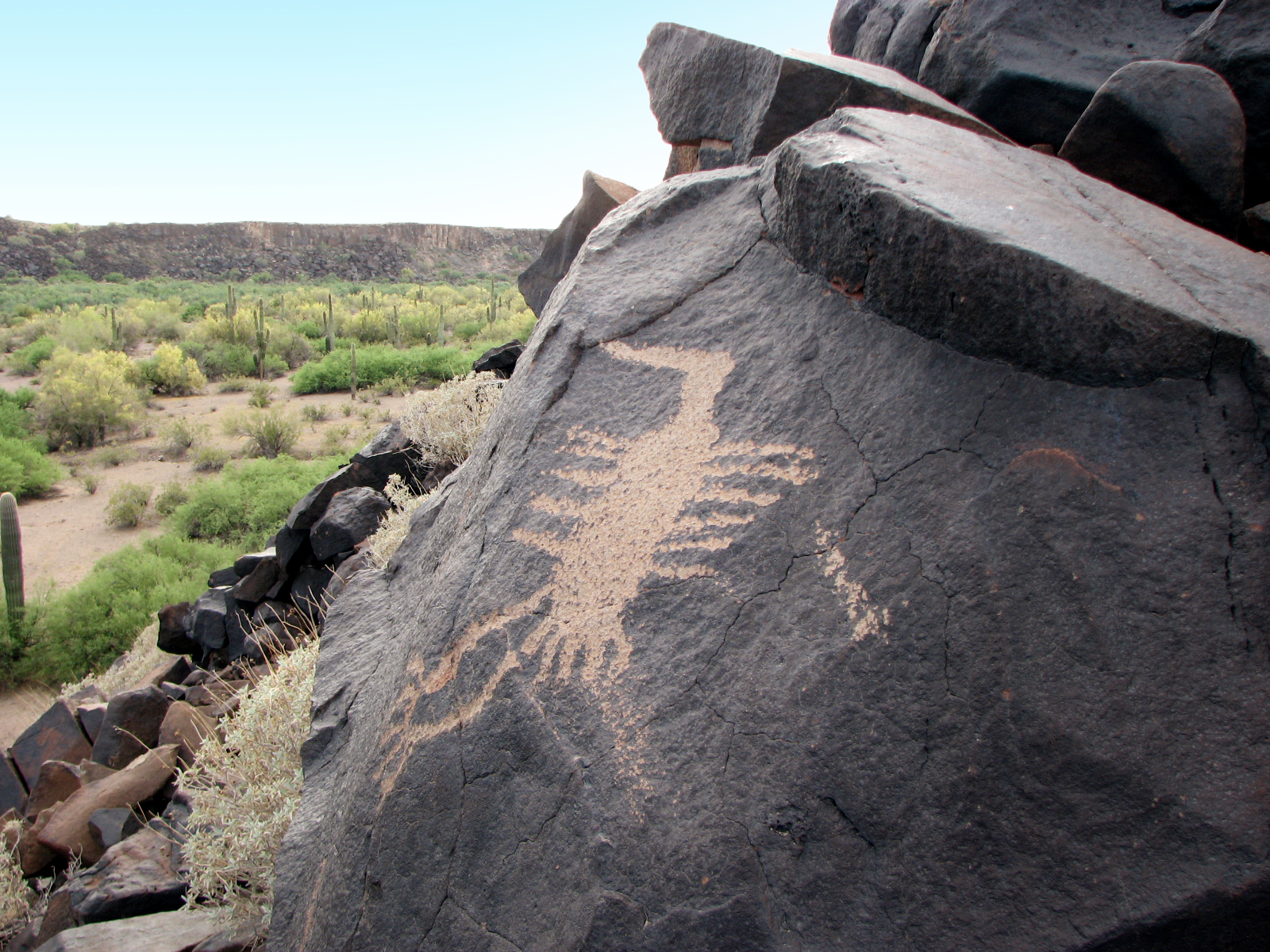 Patayan petroglyph from the lower Gila River. Photo by Allen Gill