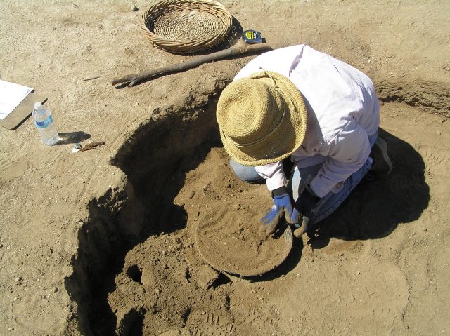 Volunteer Jaye Smith digs out the pithouse foundation.