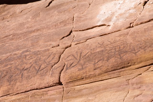 Petroglyphs in the Western Archaic Tradition. Image: Jonathan Bailey