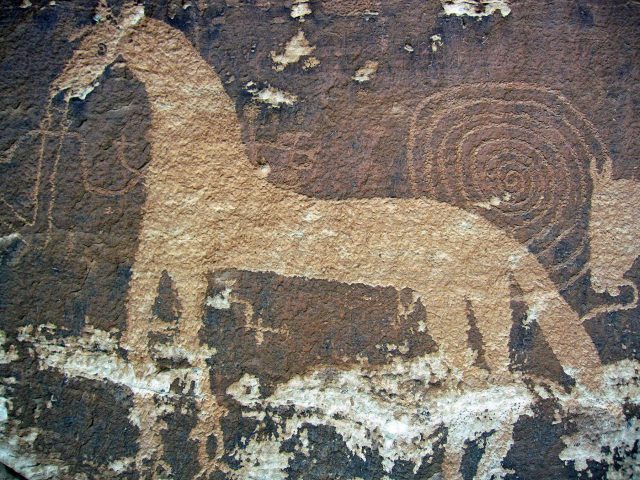 Ute Representational Style petroglyph superimposed on earlier Plateau Pueblo Tradition petroglyphs. Image: Bill Doelle