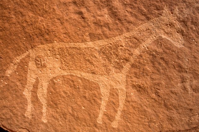 Cedar Mesa Historic Rock Art