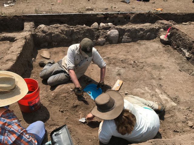 Excavating Bird Bones