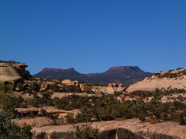 Bears Ears