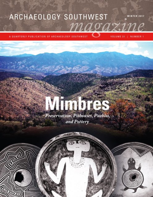 ASWM 31-1 Cover