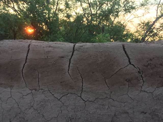 This image shows the cracking that occurred as the adobe dried. Cracking varied a lot, but was generally between 19–47 centimeters apart. We fixed the cracks by smooshing soft mud down into them. This really worked well—the wall held up such that we could walk upon it the next day.