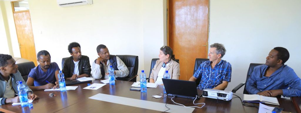 First meeting of the OVJ editorial board: (left to right) Melaku Matthew, Tekle Olbamo, Adeko Wolde, Dikaso Unbushe, Jami Macarty, John Welch, and Alem Beldados. Image: Alemayehu Wochato (also a participant).