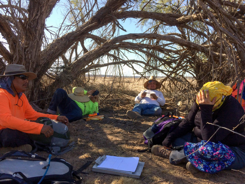 Lunch in the shelter of a thicket of dead mesquites. Charles at center.