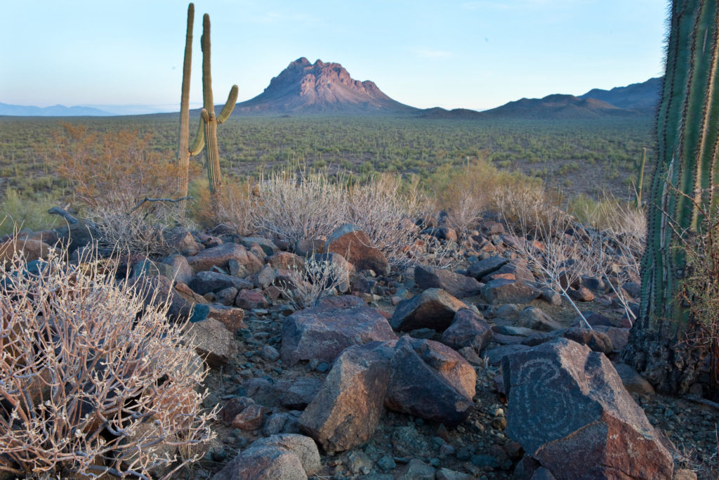 Ironwood Forest National Monument. Image: Bob Wick, courtesy of the BLM
