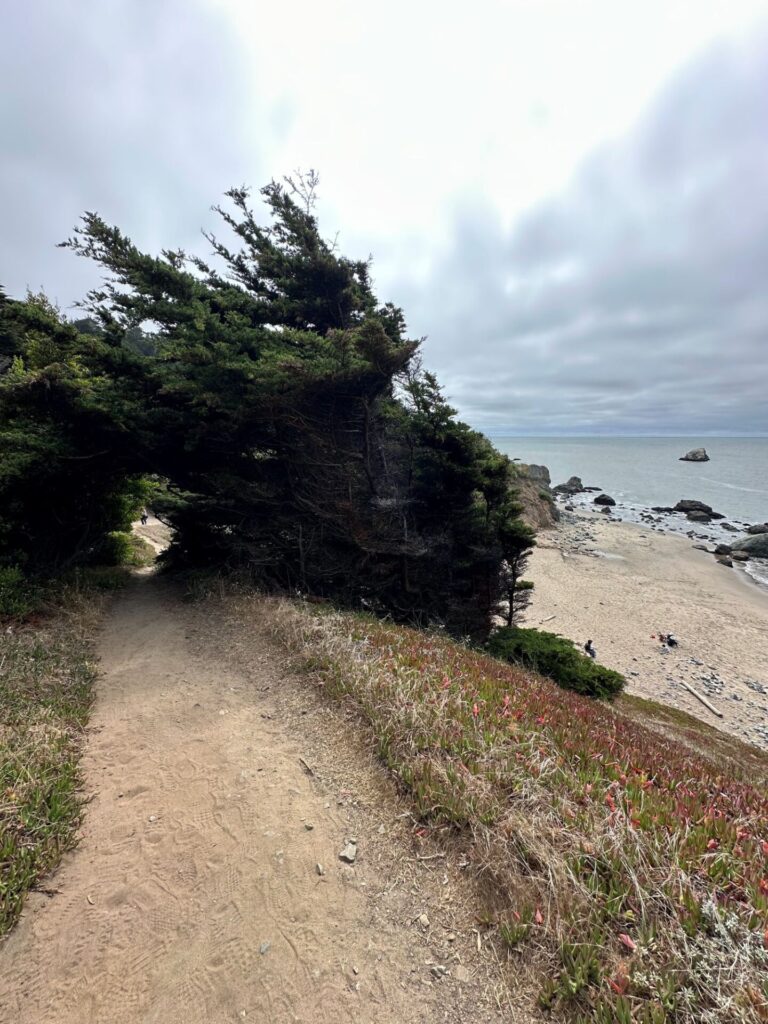 Because I live in Colorado and hike the Rockies all the time, I’m grateful for ANY oceanside hike! San Francisco, July 2025.