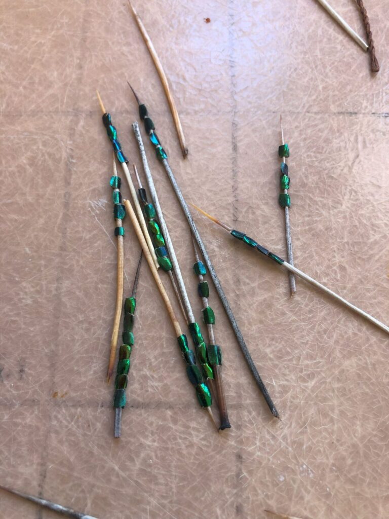 Segments of iridescent green beetle hind legs strung onto a cactus spine.