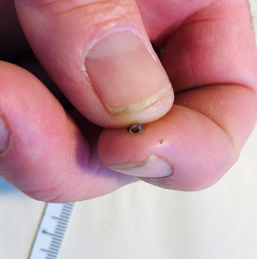 Closeup of human fingers showing beetle-leg bead in cross-section.