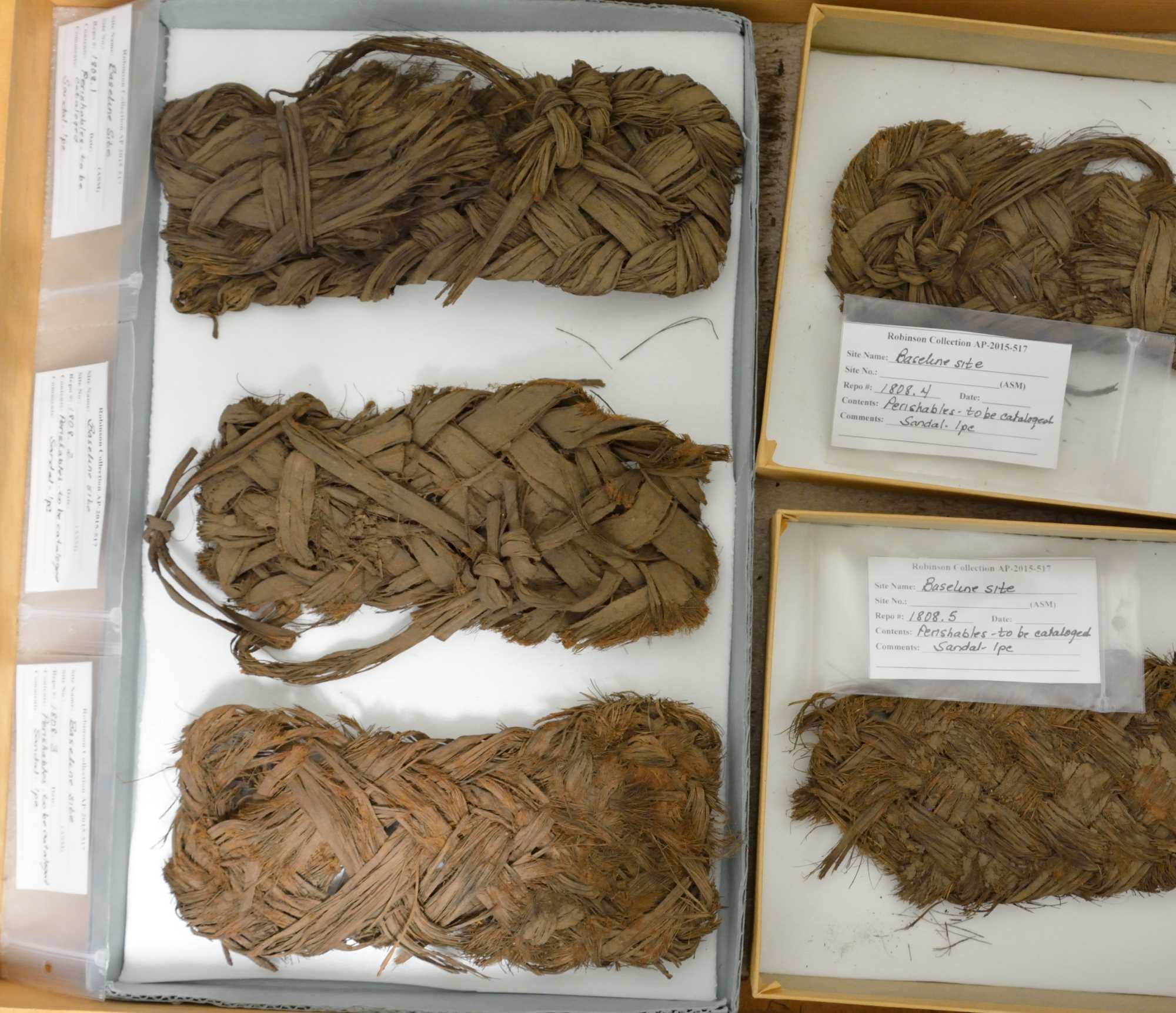 This image shows a top-down view of a museum tray with five ancient sandals from a dry cave site near Safford, Arizona. The sandals are woven from plant fibers.