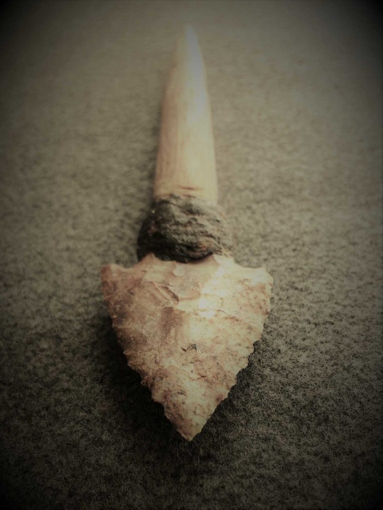 Image shows a hafted Placencia projectile point