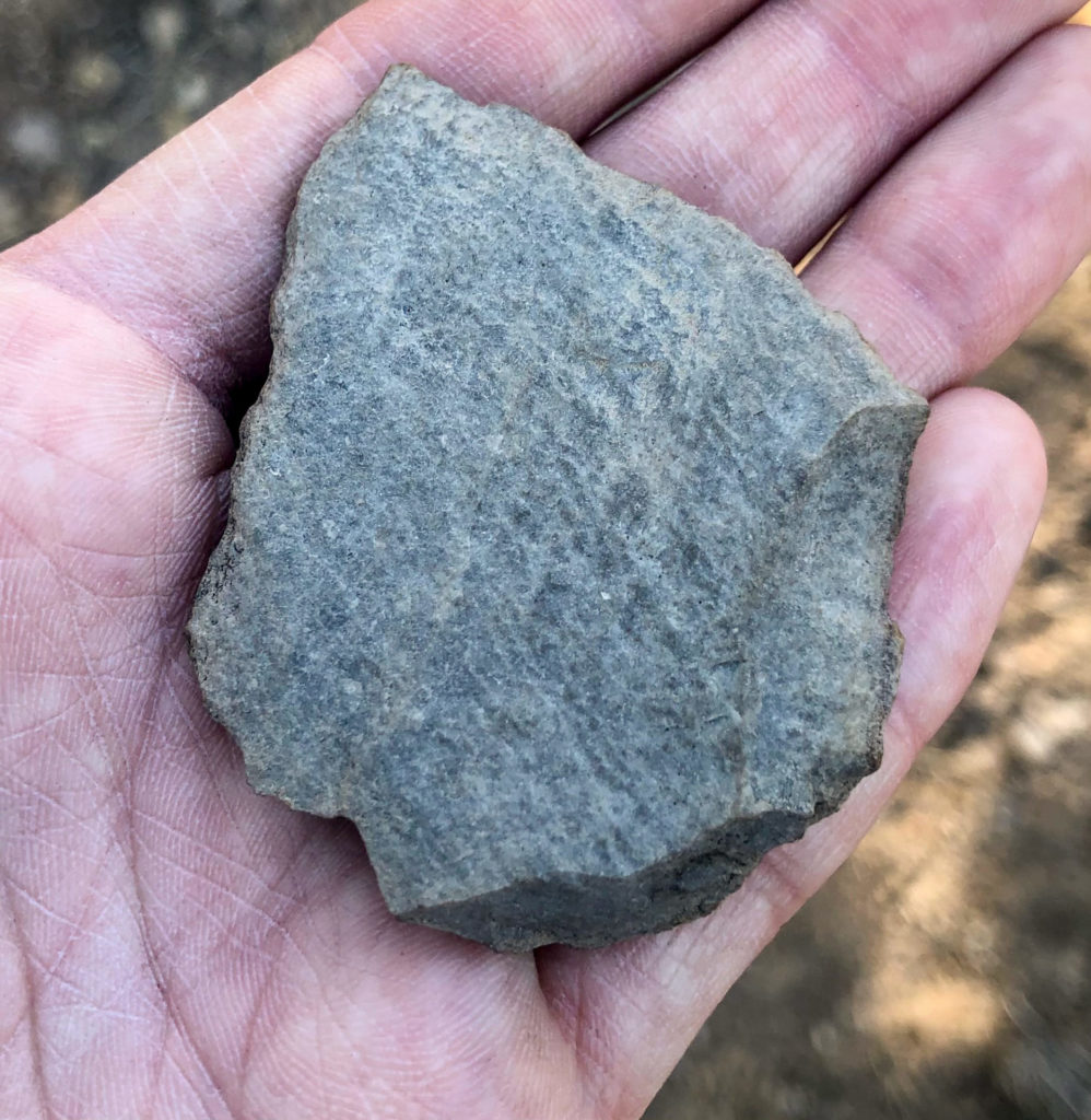 Ventral view of the same flake, the first one I’d found.