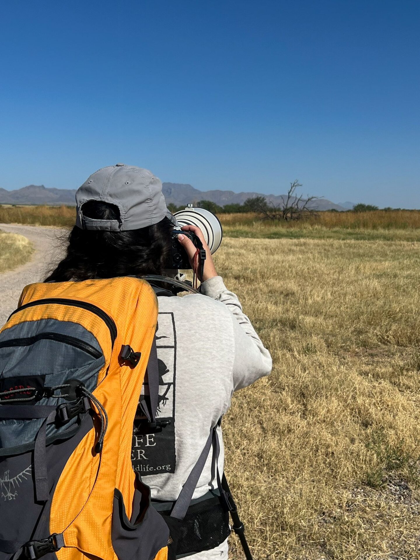 Caitlynn in the field for the 2024 Avra Valley Christmas Bird Count.