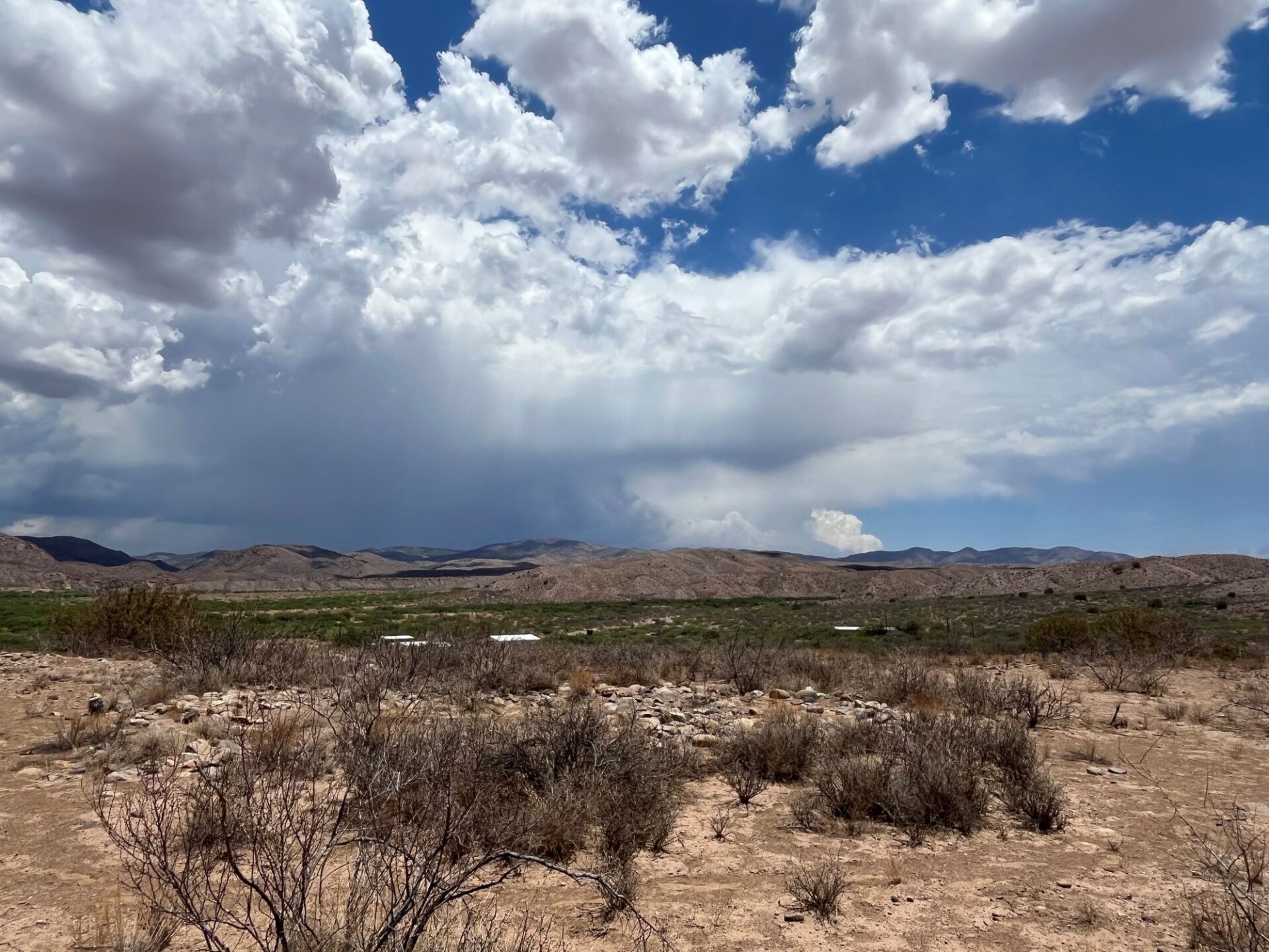Our survey area in New Mexico.