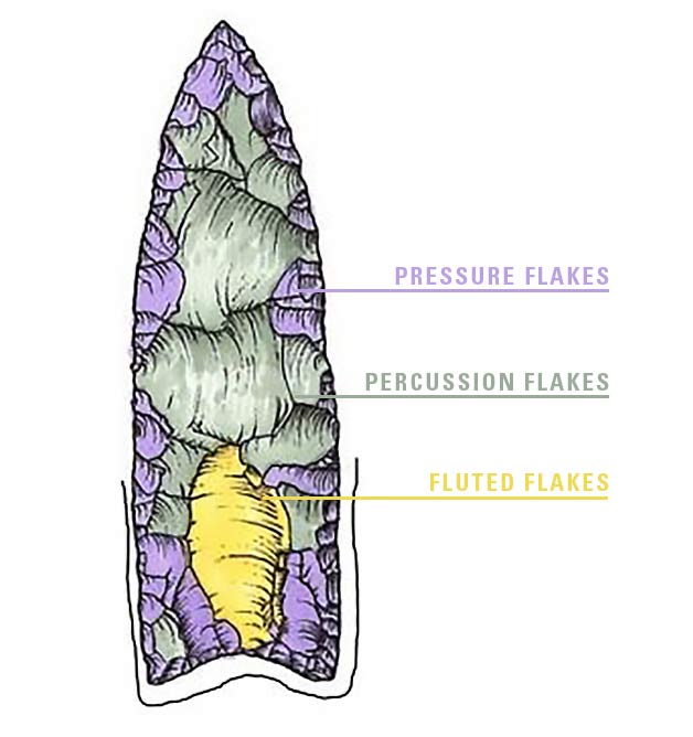 What s the Point All about Clovis Points - Archaeology Southwest