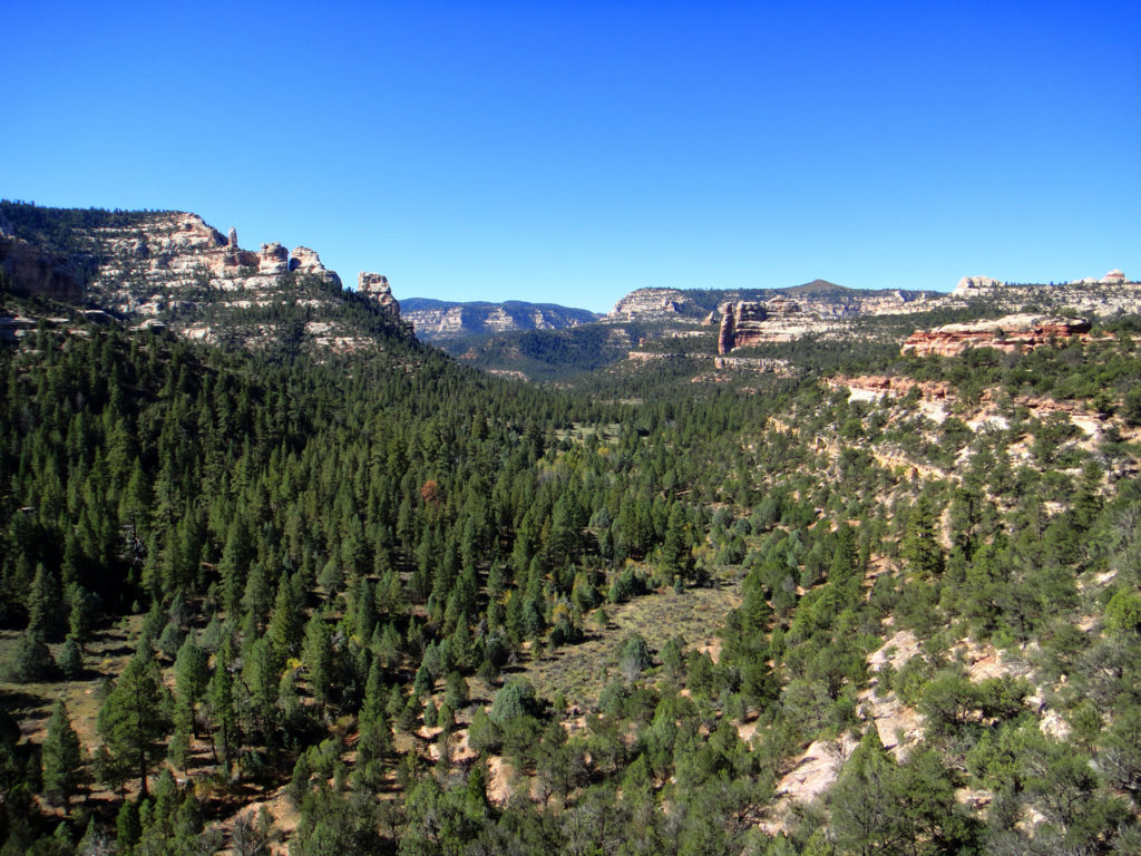 Dark Canyon Wilderness