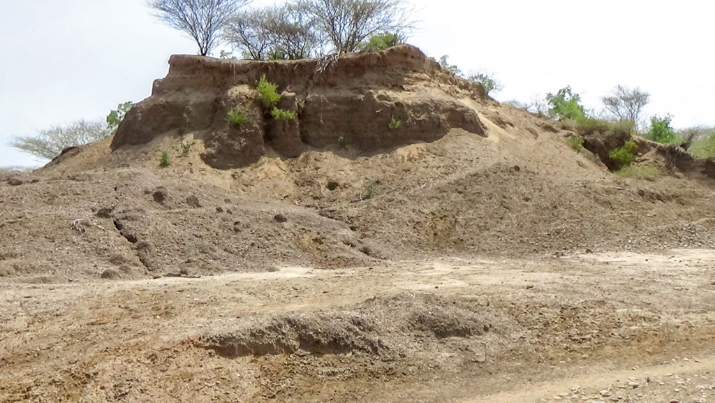 One small, fossil-studded hillock within the vast Usno locality, Lower Valley of the Omo World Heritage Site. Image: J.R. Welch