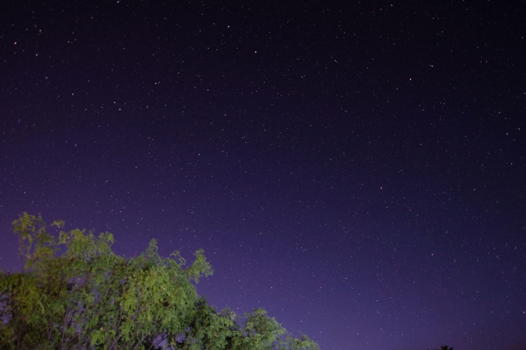 Night Sky in New Mexico