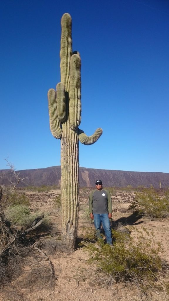 Me with a giant saguaro in the Great Bend of the Gila. Image: Nathalie Brusgaard