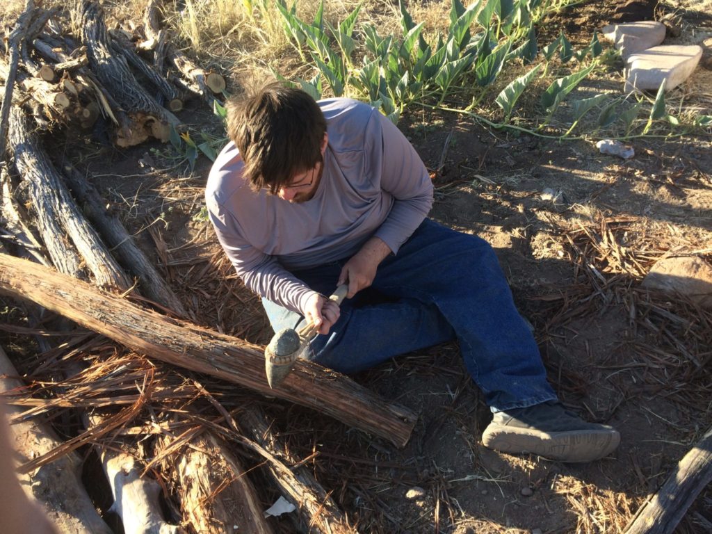 Devlin debarking a log