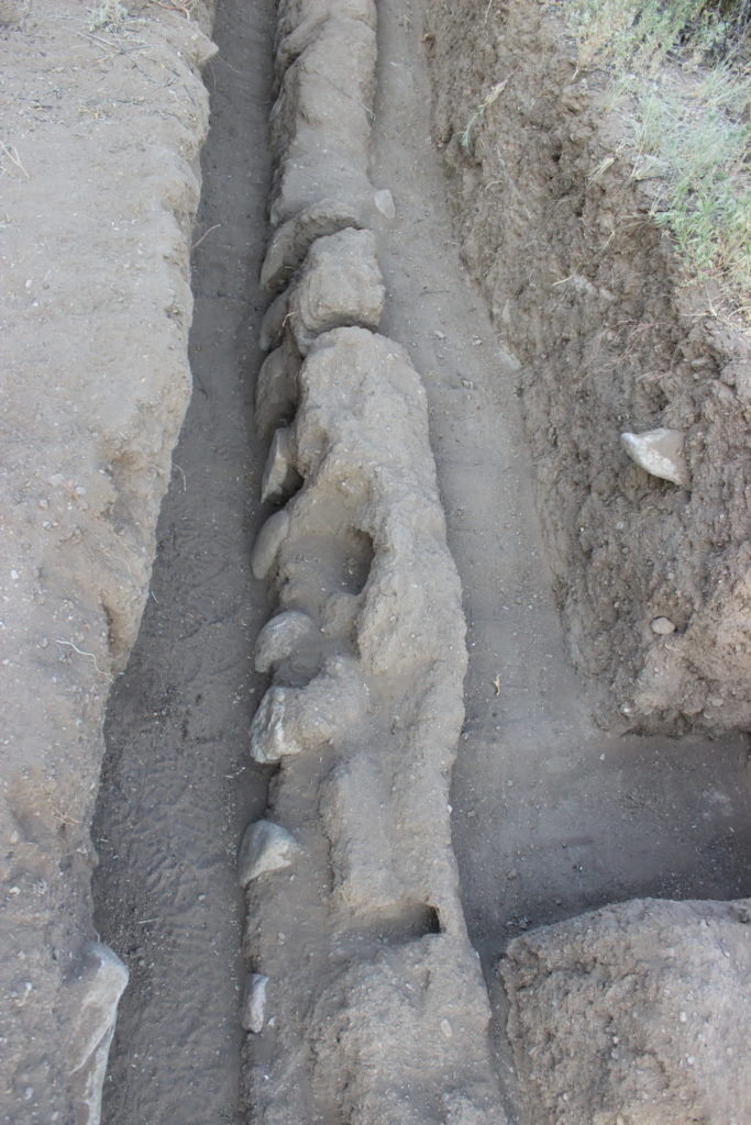 The eastern face of this wall from the northern room block (the left side in this photo) is badly eroded, whereas the western face is much better preserved. The erosion pattern is similar to that of our experimental structure in Mule Creek.