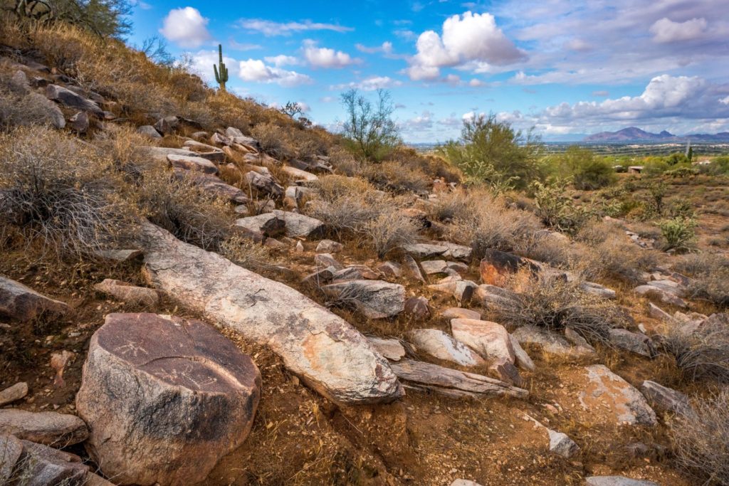 Petroglyphs on the slope of Taliesin Peak with a view across Paradise Valley. Image: Paul Vanderveen